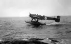 Flygplan S 5A, Heinkel He 5 Hansa nummer 2458 kör på vatten. Vy från sidan. 1930-tal.