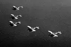 Flygbild av fem flygplan S 5A, Heinkel He 5 Hansa i formation. Vy ovanifrån. 1930-tal.
