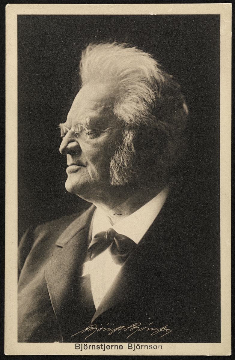 portrett, mann, forfatter, brystbilde, profil