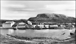 A/S Lysøysund Sildolje- og Kraftforfabrikk, sett fra Lysøya.