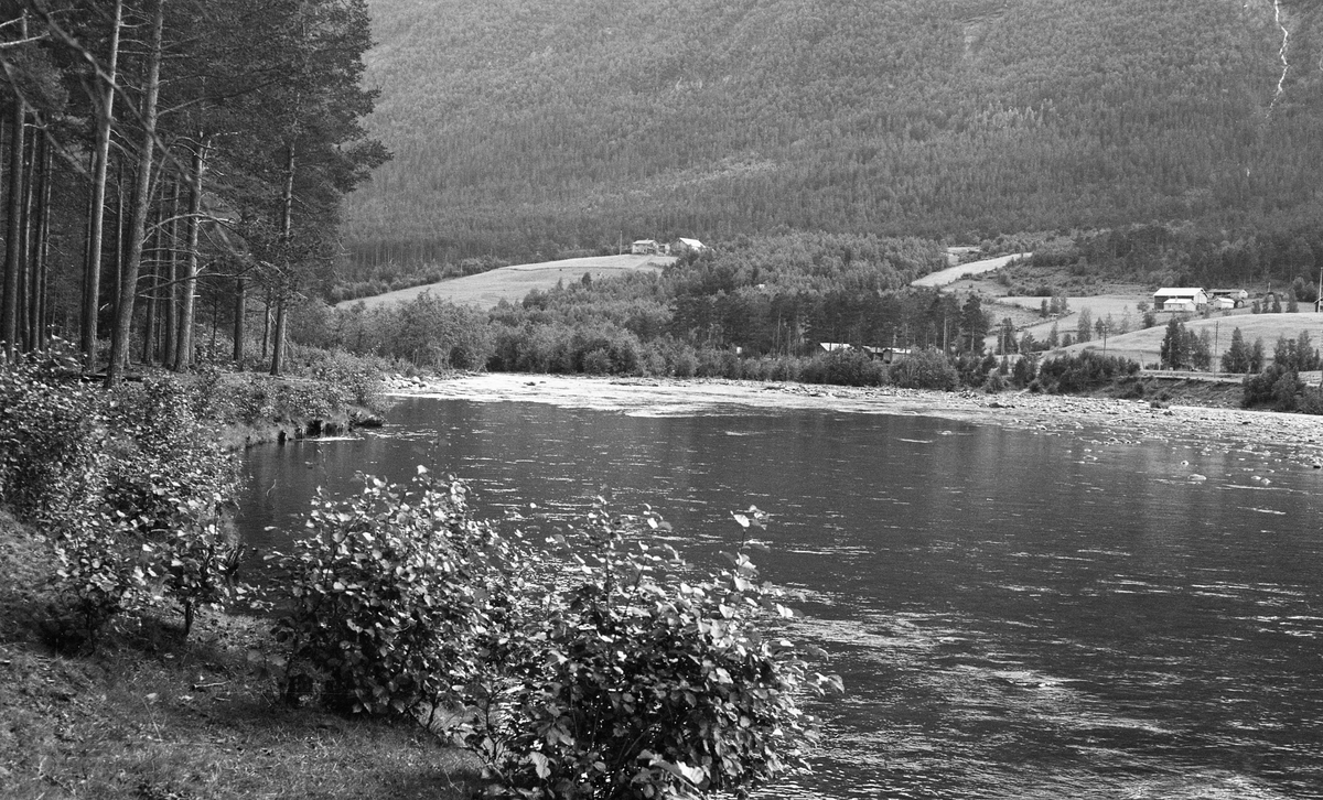 Lågen ved Strand, Brudberg, Dovre. Elva før bulldozer-rensk ble satt igang.