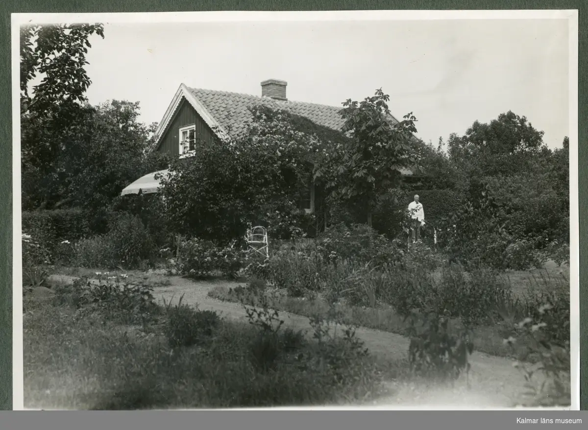 Trädgården och baksidan av Waldemar Swahns sommarbostad på Stångudden, Ekenäs. Waldemar Swahn står i trappan.