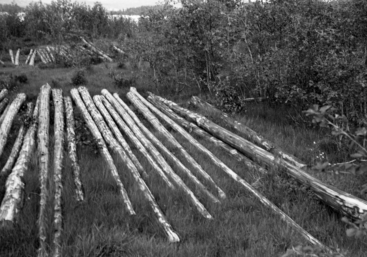 Tømmer tillagt i Odalen, for å kjøres med tømmerbil til Greaker.