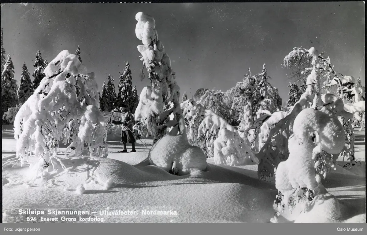 skog, snø, mann, skiløper, skitur