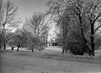 Stadsparken i Västerås, med utsikt mot Stora Westmannia.