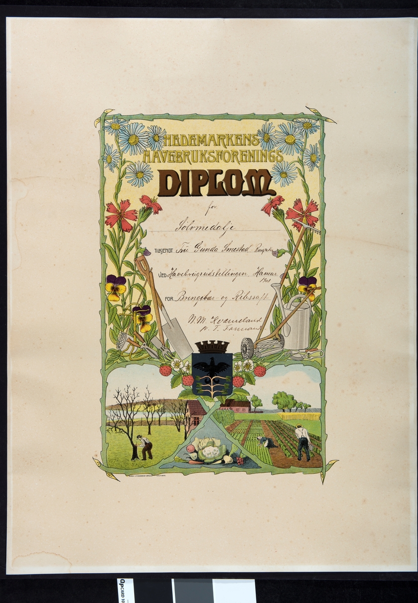 Diplom