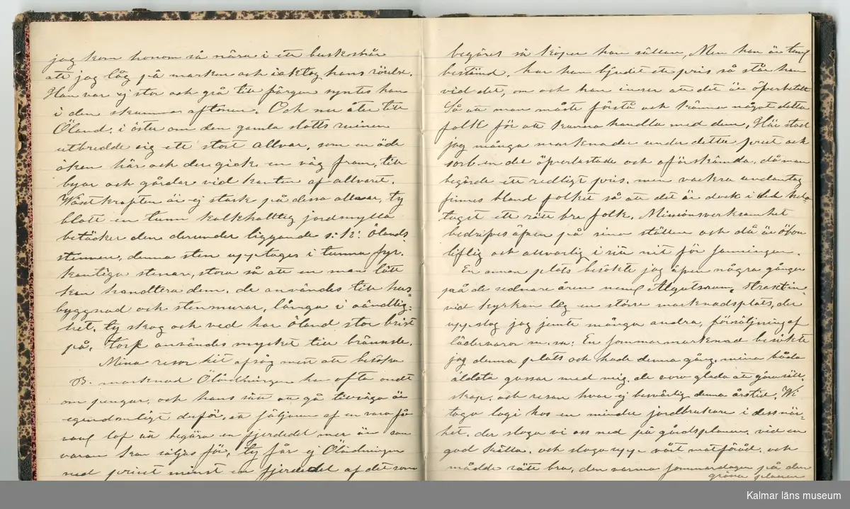 KLM 46431:2. Dagbok. Levnadsteckning. Del 2. Levnadsteckning skriven av garvaren Carl Gustaf Petersson. Nedteckningen började då familjen flyttade från Mönsterås till Eksjö 1884 och fortsatter fram till 1902. Berättelsen omfattar tiden från 1841 då han föddes i Köping, till 1902. Berättelse tar upp vardagliga händelser och bekymmer i en garvares tillvaro. Garveriyrket innebar för hans del att en stor del av tiden var han på resande fot till marknader mm. Han har under en längre tid ekonomiska bekymmer som ökar och blir ohållbart, vilket också leder till att han blir ställd inför rättslig prövning. Han blir dömd till fängelse i två månader för ekonomiska försummelser, fängelsetiden verkställs i Stockholm i fängelset på Långholmen. Även detta beskrivs mycket ingående i dagboken, han avtjänar sitt straff från onsdagen den 14 februari 1894 till lördagen den 14 april 1894.