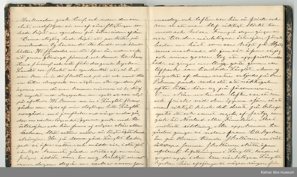KLM 46431:2. Dagbok. Levnadsteckning. Del 2. Levnadsteckning skriven av garvaren Carl Gustaf Petersson. Nedteckningen började då familjen flyttade från Mönsterås till Eksjö 1884 och fortsatter fram till 1902. Berättelsen omfattar tiden från 1841 då han föddes i Köping, till 1902. Berättelse tar upp vardagliga händelser och bekymmer i en garvares tillvaro. Garveriyrket innebar för hans del att en stor del av tiden var han på resande fot till marknader mm. Han har under en längre tid ekonomiska bekymmer som ökar och blir ohållbart, vilket också leder till att han blir ställd inför rättslig prövning. Han blir dömd till fängelse i två månader för ekonomiska försummelser, fängelsetiden verkställs i Stockholm i fängelset på Långholmen. Även detta beskrivs mycket ingående i dagboken, han avtjänar sitt straff från onsdagen den 14 februari 1894 till lördagen den 14 april 1894.