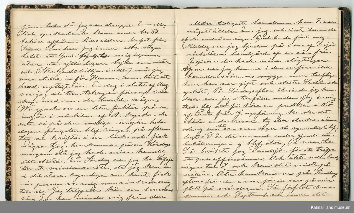 KLM 46431:2. Dagbok. Levnadsteckning. Del 2. Levnadsteckning skriven av garvaren Carl Gustaf Petersson. Nedteckningen började då familjen flyttade från Mönsterås till Eksjö 1884 och fortsatter fram till 1902. Berättelsen omfattar tiden från 1841 då han föddes i Köping, till 1902. Berättelse tar upp vardagliga händelser och bekymmer i en garvares tillvaro. Garveriyrket innebar för hans del att en stor del av tiden var han på resande fot till marknader mm. Han har under en längre tid ekonomiska bekymmer som ökar och blir ohållbart, vilket också leder till att han blir ställd inför rättslig prövning. Han blir dömd till fängelse i två månader för ekonomiska försummelser, fängelsetiden verkställs i Stockholm i fängelset på Långholmen. Även detta beskrivs mycket ingående i dagboken, han avtjänar sitt straff från onsdagen den 14 februari 1894 till lördagen den 14 april 1894.