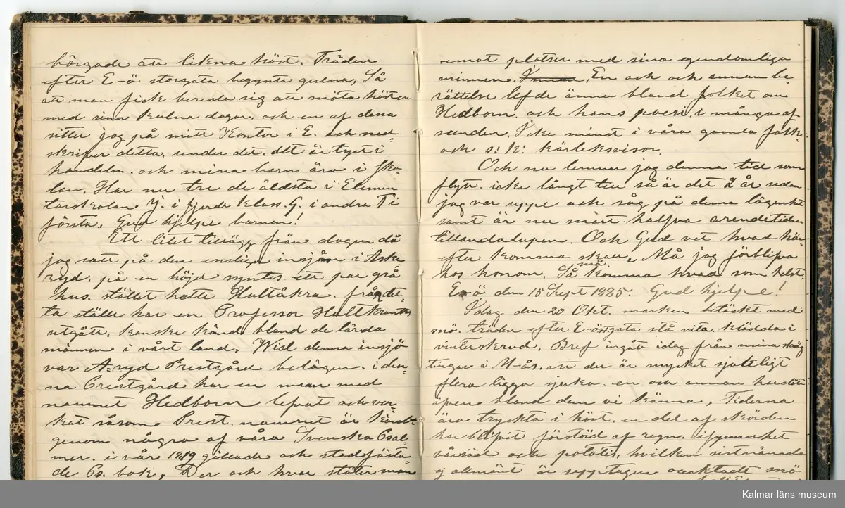 KLM 46431:2. Dagbok. Levnadsteckning. Del 2. Levnadsteckning skriven av garvaren Carl Gustaf Petersson. Nedteckningen började då familjen flyttade från Mönsterås till Eksjö 1884 och fortsatter fram till 1902. Berättelsen omfattar tiden från 1841 då han föddes i Köping, till 1902. Berättelse tar upp vardagliga händelser och bekymmer i en garvares tillvaro. Garveriyrket innebar för hans del att en stor del av tiden var han på resande fot till marknader mm. Han har under en längre tid ekonomiska bekymmer som ökar och blir ohållbart, vilket också leder till att han blir ställd inför rättslig prövning. Han blir dömd till fängelse i två månader för ekonomiska försummelser, fängelsetiden verkställs i Stockholm i fängelset på Långholmen. Även detta beskrivs mycket ingående i dagboken, han avtjänar sitt straff från onsdagen den 14 februari 1894 till lördagen den 14 april 1894.