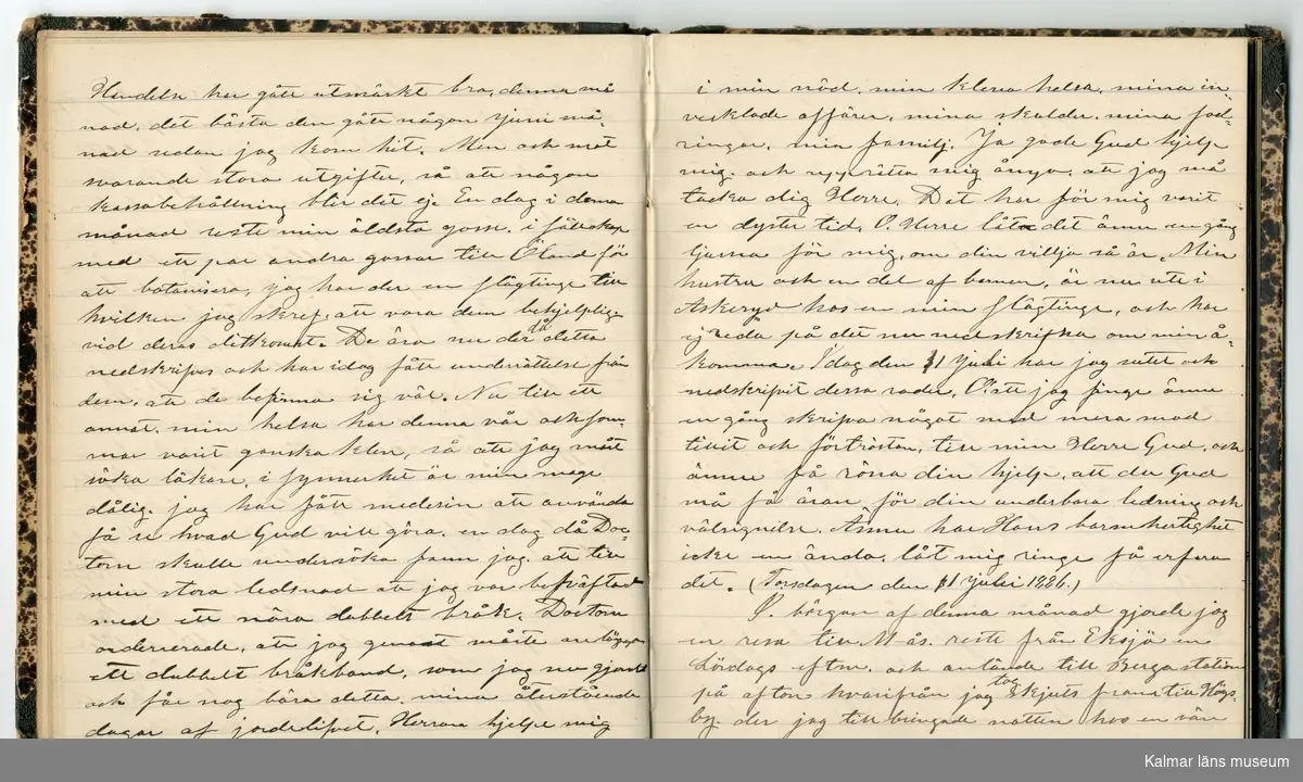 KLM 46431:2. Dagbok. Levnadsteckning. Del 2. Levnadsteckning skriven av garvaren Carl Gustaf Petersson. Nedteckningen började då familjen flyttade från Mönsterås till Eksjö 1884 och fortsatter fram till 1902. Berättelsen omfattar tiden från 1841 då han föddes i Köping, till 1902. Berättelse tar upp vardagliga händelser och bekymmer i en garvares tillvaro. Garveriyrket innebar för hans del att en stor del av tiden var han på resande fot till marknader mm. Han har under en längre tid ekonomiska bekymmer som ökar och blir ohållbart, vilket också leder till att han blir ställd inför rättslig prövning. Han blir dömd till fängelse i två månader för ekonomiska försummelser, fängelsetiden verkställs i Stockholm i fängelset på Långholmen. Även detta beskrivs mycket ingående i dagboken, han avtjänar sitt straff från onsdagen den 14 februari 1894 till lördagen den 14 april 1894.