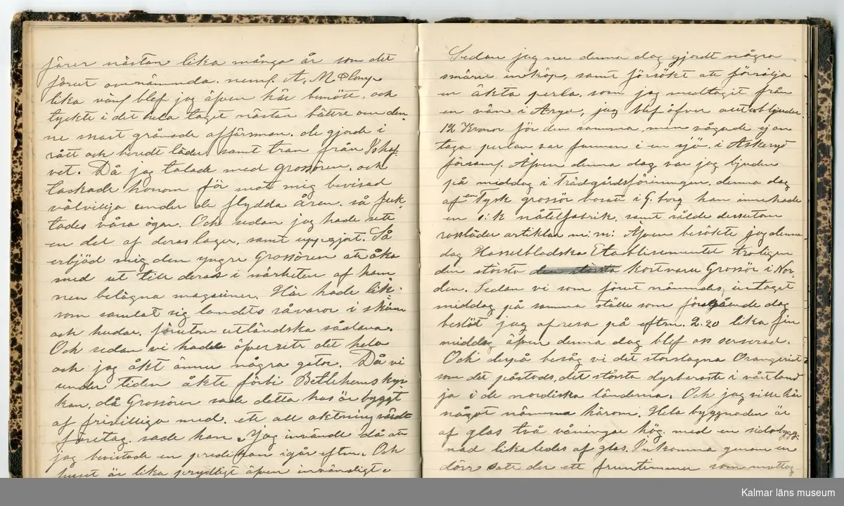 KLM 46431:2. Dagbok. Levnadsteckning. Del 2. Levnadsteckning skriven av garvaren Carl Gustaf Petersson. Nedteckningen började då familjen flyttade från Mönsterås till Eksjö 1884 och fortsatter fram till 1902. Berättelsen omfattar tiden från 1841 då han föddes i Köping, till 1902. Berättelse tar upp vardagliga händelser och bekymmer i en garvares tillvaro. Garveriyrket innebar för hans del att en stor del av tiden var han på resande fot till marknader mm. Han har under en längre tid ekonomiska bekymmer som ökar och blir ohållbart, vilket också leder till att han blir ställd inför rättslig prövning. Han blir dömd till fängelse i två månader för ekonomiska försummelser, fängelsetiden verkställs i Stockholm i fängelset på Långholmen. Även detta beskrivs mycket ingående i dagboken, han avtjänar sitt straff från onsdagen den 14 februari 1894 till lördagen den 14 april 1894.