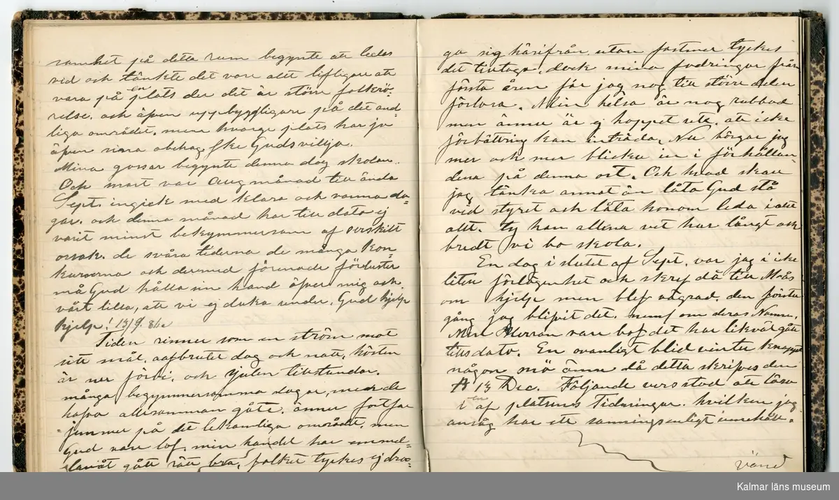 KLM 46431:2. Dagbok. Levnadsteckning. Del 2. Levnadsteckning skriven av garvaren Carl Gustaf Petersson. Nedteckningen började då familjen flyttade från Mönsterås till Eksjö 1884 och fortsatter fram till 1902. Berättelsen omfattar tiden från 1841 då han föddes i Köping, till 1902. Berättelse tar upp vardagliga händelser och bekymmer i en garvares tillvaro. Garveriyrket innebar för hans del att en stor del av tiden var han på resande fot till marknader mm. Han har under en längre tid ekonomiska bekymmer som ökar och blir ohållbart, vilket också leder till att han blir ställd inför rättslig prövning. Han blir dömd till fängelse i två månader för ekonomiska försummelser, fängelsetiden verkställs i Stockholm i fängelset på Långholmen. Även detta beskrivs mycket ingående i dagboken, han avtjänar sitt straff från onsdagen den 14 februari 1894 till lördagen den 14 april 1894.