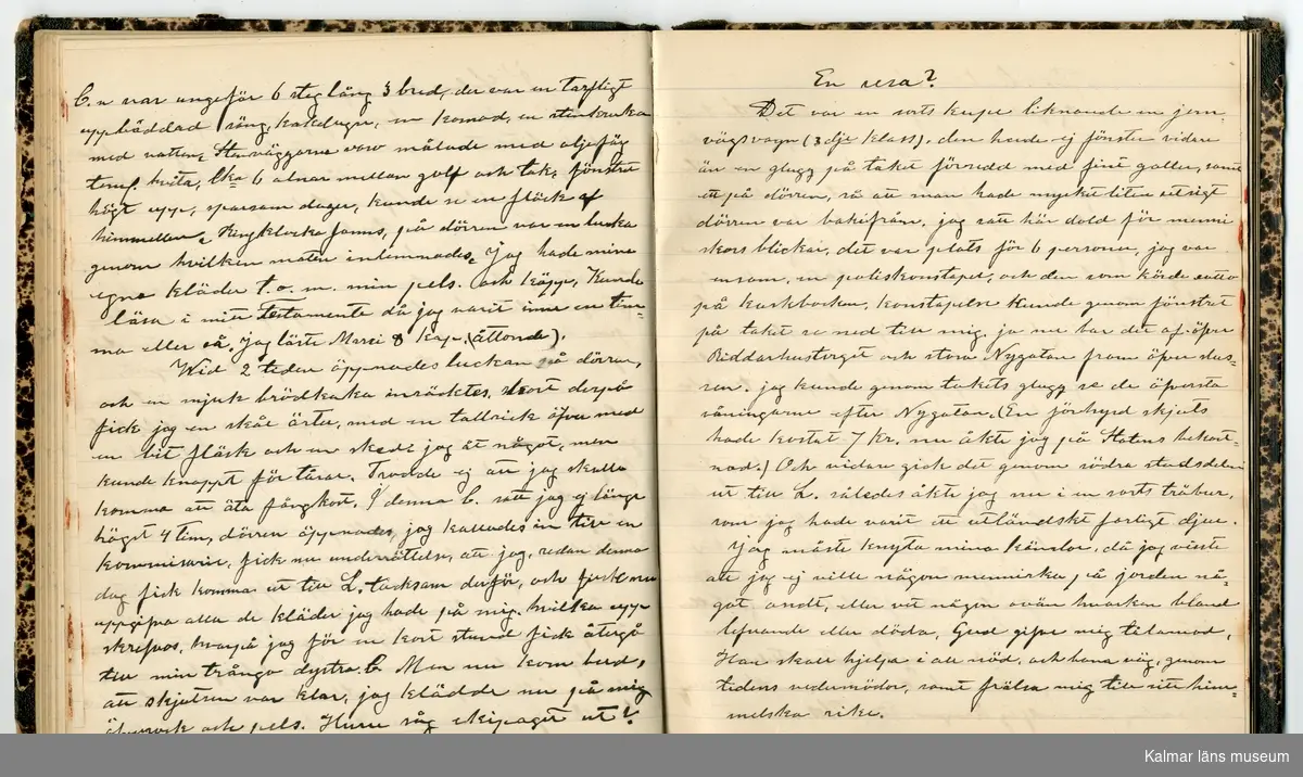 KLM 46431:2. Dagbok. Levnadsteckning. Del 2. Levnadsteckning skriven av garvaren Carl Gustaf Petersson. Nedteckningen började då familjen flyttade från Mönsterås till Eksjö 1884 och fortsatter fram till 1902. Berättelsen omfattar tiden från 1841 då han föddes i Köping, till 1902. Berättelse tar upp vardagliga händelser och bekymmer i en garvares tillvaro. Garveriyrket innebar för hans del att en stor del av tiden var han på resande fot till marknader mm. Han har under en längre tid ekonomiska bekymmer som ökar och blir ohållbart, vilket också leder till att han blir ställd inför rättslig prövning. Han blir dömd till fängelse i två månader för ekonomiska försummelser, fängelsetiden verkställs i Stockholm i fängelset på Långholmen. Även detta beskrivs mycket ingående i dagboken, han avtjänar sitt straff från onsdagen den 14 februari 1894 till lördagen den 14 april 1894.