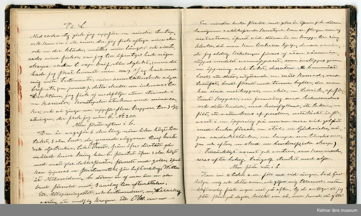 KLM 46431:2. Dagbok. Levnadsteckning. Del 2. Levnadsteckning skriven av garvaren Carl Gustaf Petersson. Nedteckningen började då familjen flyttade från Mönsterås till Eksjö 1884 och fortsatter fram till 1902. Berättelsen omfattar tiden från 1841 då han föddes i Köping, till 1902. Berättelse tar upp vardagliga händelser och bekymmer i en garvares tillvaro. Garveriyrket innebar för hans del att en stor del av tiden var han på resande fot till marknader mm. Han har under en längre tid ekonomiska bekymmer som ökar och blir ohållbart, vilket också leder till att han blir ställd inför rättslig prövning. Han blir dömd till fängelse i två månader för ekonomiska försummelser, fängelsetiden verkställs i Stockholm i fängelset på Långholmen. Även detta beskrivs mycket ingående i dagboken, han avtjänar sitt straff från onsdagen den 14 februari 1894 till lördagen den 14 april 1894.