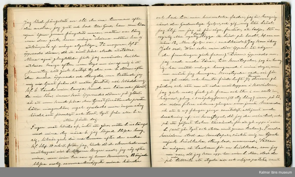 KLM 46431:2. Dagbok. Levnadsteckning. Del 2. Levnadsteckning skriven av garvaren Carl Gustaf Petersson. Nedteckningen började då familjen flyttade från Mönsterås till Eksjö 1884 och fortsatter fram till 1902. Berättelsen omfattar tiden från 1841 då han föddes i Köping, till 1902. Berättelse tar upp vardagliga händelser och bekymmer i en garvares tillvaro. Garveriyrket innebar för hans del att en stor del av tiden var han på resande fot till marknader mm. Han har under en längre tid ekonomiska bekymmer som ökar och blir ohållbart, vilket också leder till att han blir ställd inför rättslig prövning. Han blir dömd till fängelse i två månader för ekonomiska försummelser, fängelsetiden verkställs i Stockholm i fängelset på Långholmen. Även detta beskrivs mycket ingående i dagboken, han avtjänar sitt straff från onsdagen den 14 februari 1894 till lördagen den 14 april 1894.
