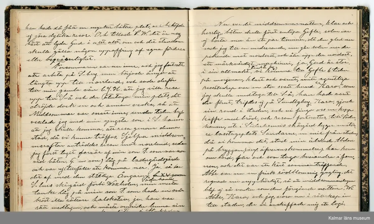KLM 46431:2. Dagbok. Levnadsteckning. Del 2. Levnadsteckning skriven av garvaren Carl Gustaf Petersson. Nedteckningen började då familjen flyttade från Mönsterås till Eksjö 1884 och fortsatter fram till 1902. Berättelsen omfattar tiden från 1841 då han föddes i Köping, till 1902. Berättelse tar upp vardagliga händelser och bekymmer i en garvares tillvaro. Garveriyrket innebar för hans del att en stor del av tiden var han på resande fot till marknader mm. Han har under en längre tid ekonomiska bekymmer som ökar och blir ohållbart, vilket också leder till att han blir ställd inför rättslig prövning. Han blir dömd till fängelse i två månader för ekonomiska försummelser, fängelsetiden verkställs i Stockholm i fängelset på Långholmen. Även detta beskrivs mycket ingående i dagboken, han avtjänar sitt straff från onsdagen den 14 februari 1894 till lördagen den 14 april 1894.