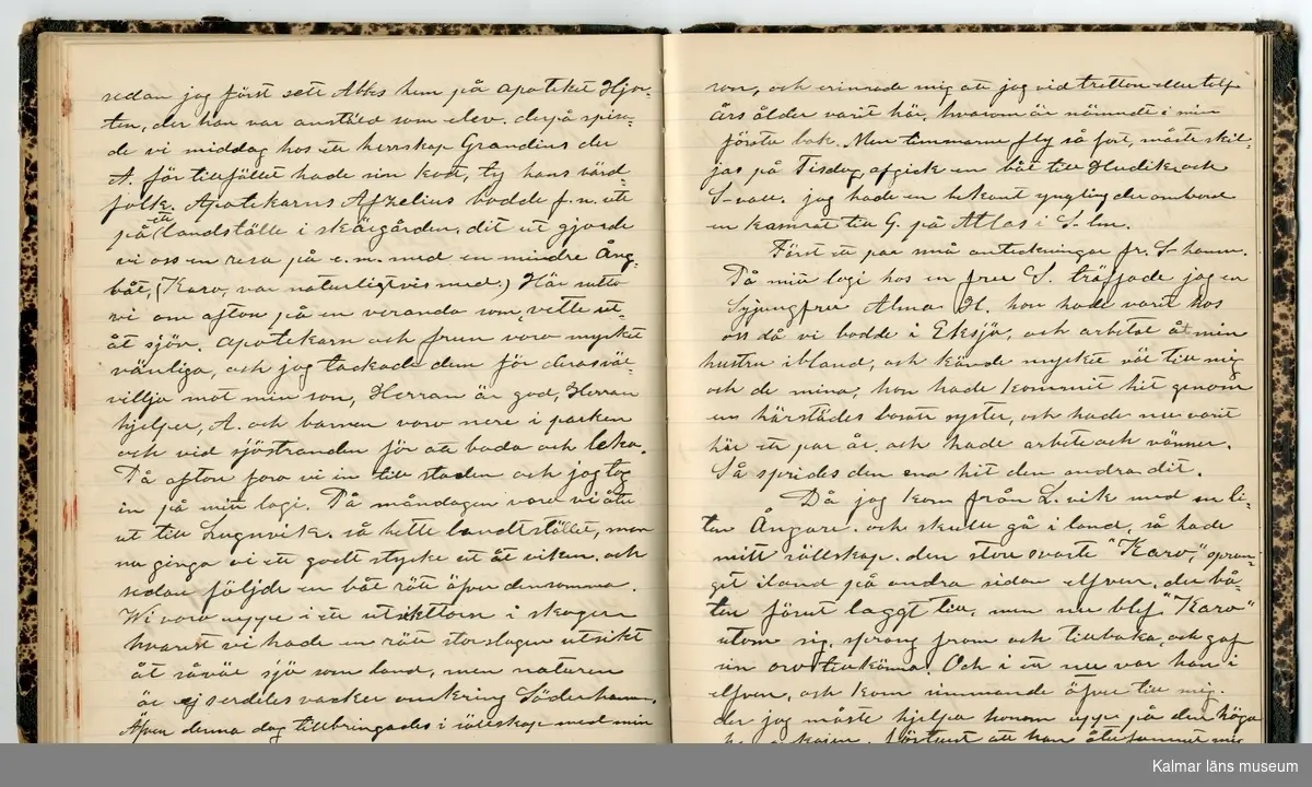 KLM 46431:2. Dagbok. Levnadsteckning. Del 2. Levnadsteckning skriven av garvaren Carl Gustaf Petersson. Nedteckningen började då familjen flyttade från Mönsterås till Eksjö 1884 och fortsatter fram till 1902. Berättelsen omfattar tiden från 1841 då han föddes i Köping, till 1902. Berättelse tar upp vardagliga händelser och bekymmer i en garvares tillvaro. Garveriyrket innebar för hans del att en stor del av tiden var han på resande fot till marknader mm. Han har under en längre tid ekonomiska bekymmer som ökar och blir ohållbart, vilket också leder till att han blir ställd inför rättslig prövning. Han blir dömd till fängelse i två månader för ekonomiska försummelser, fängelsetiden verkställs i Stockholm i fängelset på Långholmen. Även detta beskrivs mycket ingående i dagboken, han avtjänar sitt straff från onsdagen den 14 februari 1894 till lördagen den 14 april 1894.