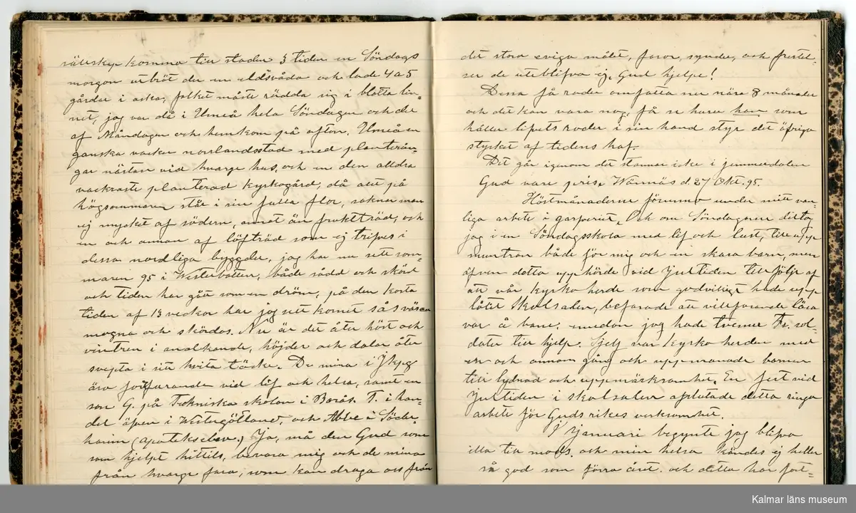 KLM 46431:2. Dagbok. Levnadsteckning. Del 2. Levnadsteckning skriven av garvaren Carl Gustaf Petersson. Nedteckningen började då familjen flyttade från Mönsterås till Eksjö 1884 och fortsatter fram till 1902. Berättelsen omfattar tiden från 1841 då han föddes i Köping, till 1902. Berättelse tar upp vardagliga händelser och bekymmer i en garvares tillvaro. Garveriyrket innebar för hans del att en stor del av tiden var han på resande fot till marknader mm. Han har under en längre tid ekonomiska bekymmer som ökar och blir ohållbart, vilket också leder till att han blir ställd inför rättslig prövning. Han blir dömd till fängelse i två månader för ekonomiska försummelser, fängelsetiden verkställs i Stockholm i fängelset på Långholmen. Även detta beskrivs mycket ingående i dagboken, han avtjänar sitt straff från onsdagen den 14 februari 1894 till lördagen den 14 april 1894.