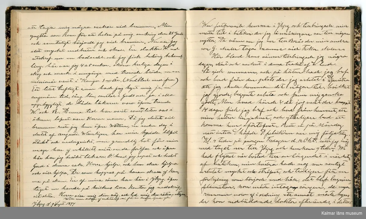 KLM 46431:2. Dagbok. Levnadsteckning. Del 2. Levnadsteckning skriven av garvaren Carl Gustaf Petersson. Nedteckningen började då familjen flyttade från Mönsterås till Eksjö 1884 och fortsatter fram till 1902. Berättelsen omfattar tiden från 1841 då han föddes i Köping, till 1902. Berättelse tar upp vardagliga händelser och bekymmer i en garvares tillvaro. Garveriyrket innebar för hans del att en stor del av tiden var han på resande fot till marknader mm. Han har under en längre tid ekonomiska bekymmer som ökar och blir ohållbart, vilket också leder till att han blir ställd inför rättslig prövning. Han blir dömd till fängelse i två månader för ekonomiska försummelser, fängelsetiden verkställs i Stockholm i fängelset på Långholmen. Även detta beskrivs mycket ingående i dagboken, han avtjänar sitt straff från onsdagen den 14 februari 1894 till lördagen den 14 april 1894.