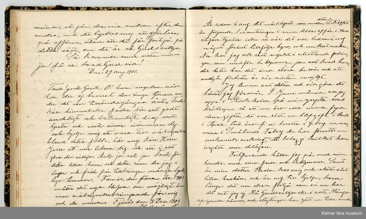 KLM 46431:2. Dagbok. Levnadsteckning. Del 2. Levnadsteckning skriven av garvaren Carl Gustaf Petersson. Nedteckningen började då familjen flyttade från Mönsterås till Eksjö 1884 och fortsatter fram till 1902. Berättelsen omfattar tiden från 1841 då han föddes i Köping, till 1902. Berättelse tar upp vardagliga händelser och bekymmer i en garvares tillvaro. Garveriyrket innebar för hans del att en stor del av tiden var han på resande fot till marknader mm. Han har under en längre tid ekonomiska bekymmer som ökar och blir ohållbart, vilket också leder till att han blir ställd inför rättslig prövning. Han blir dömd till fängelse i två månader för ekonomiska försummelser, fängelsetiden verkställs i Stockholm i fängelset på Långholmen. Även detta beskrivs mycket ingående i dagboken, han avtjänar sitt straff från onsdagen den 14 februari 1894 till lördagen den 14 april 1894.
