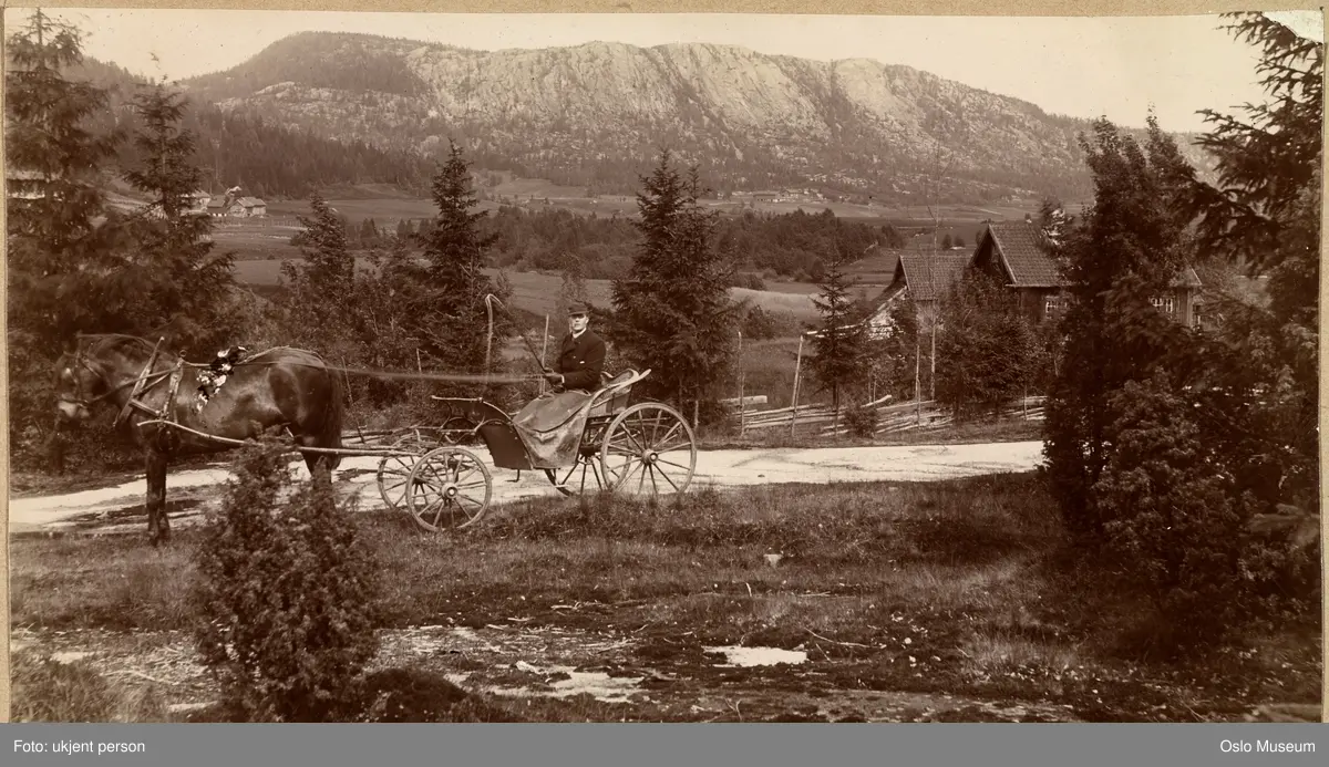 vei, hest, trille, mann, kulturlandskap, gårder, skog, fjell
