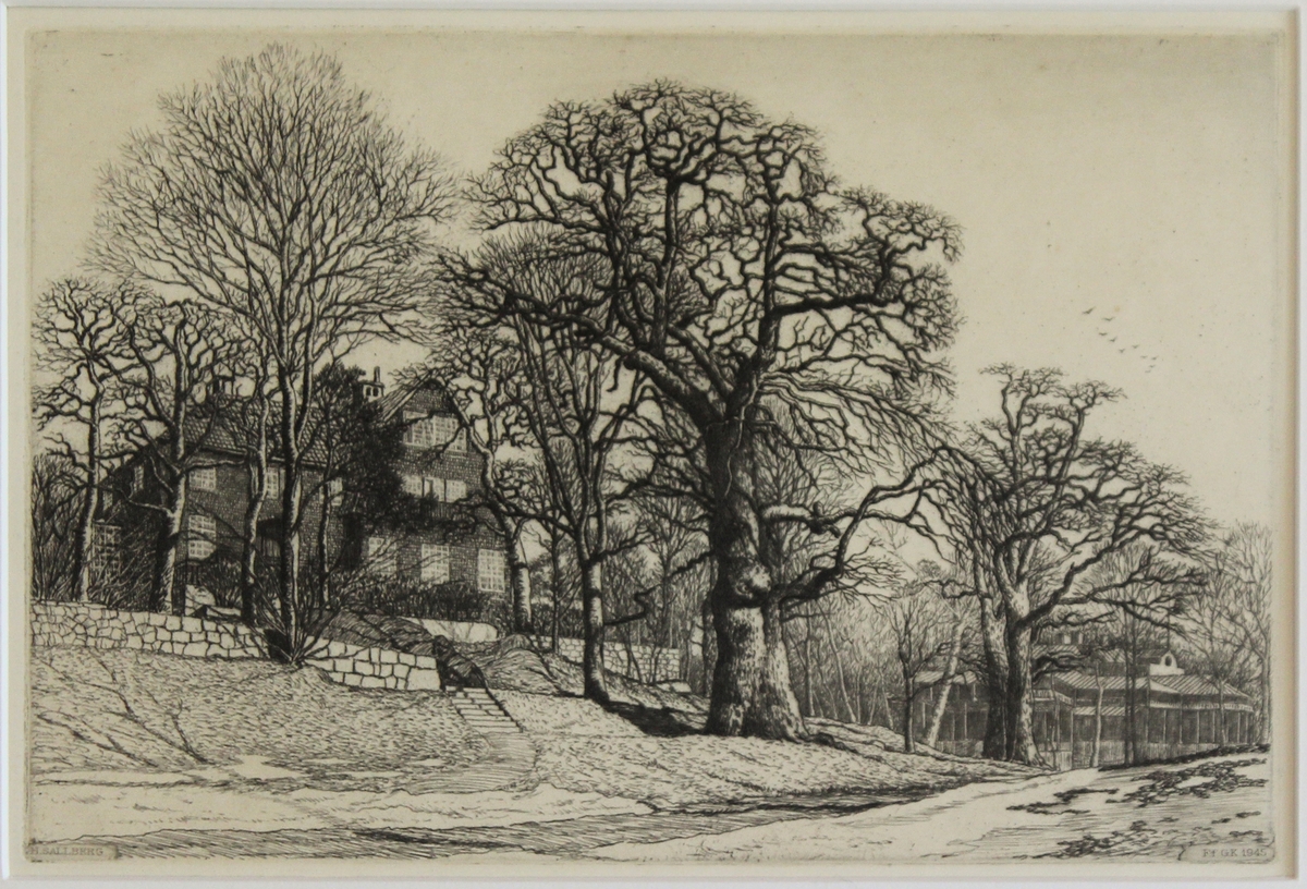 Villa Ekane, Djurgården [Etsning]