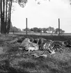 Badreportage vid Gustavsvik. 
6 juli 1959.