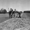 Continental i Odensbacken. 
10 juli 1959.