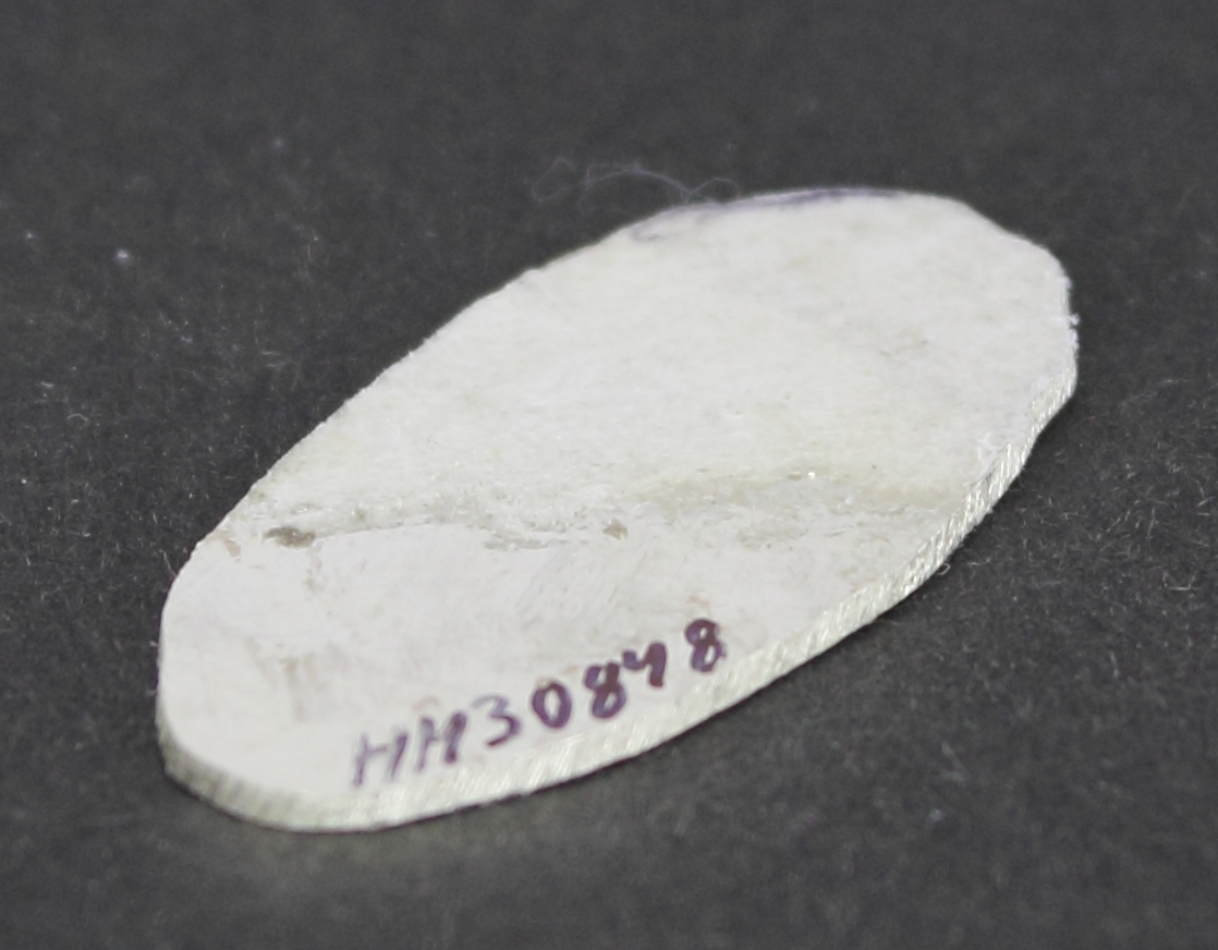 Silverplåt i oval form. På ena sidan finns papper fastlimmat. På pappret är streck ritade.  På andra sidan finns rester från avslitet papper.