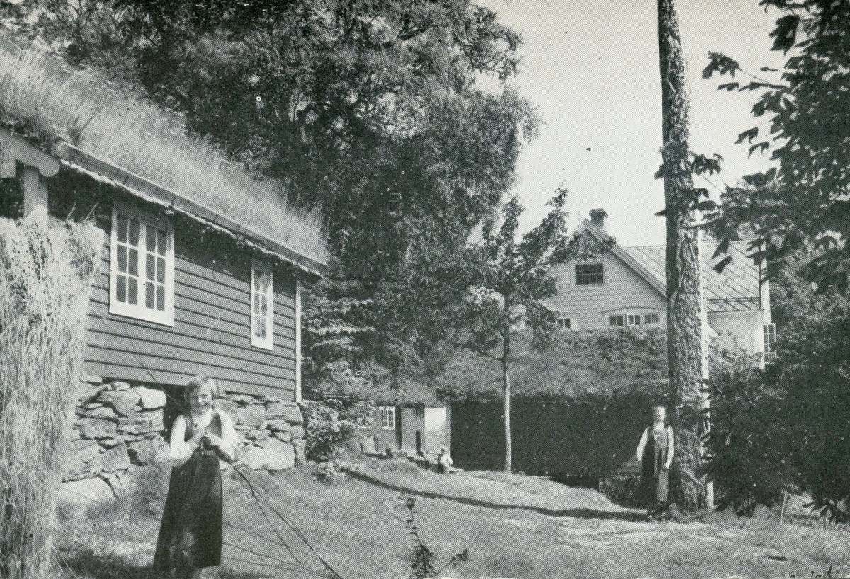 Fotografi av språkforskaren, språkgrunnleggjaren og diktaren Ivar Aasen sin fødestad i Ørsta på Sunnmøre. På biletet kan ein sjå to born og bautaen til Ivar Aasen. På baksida av fotografiet står det "Varde Forlag, Bergen". Det fysiske eksemplaret har måla 9,8 x 14 cm.