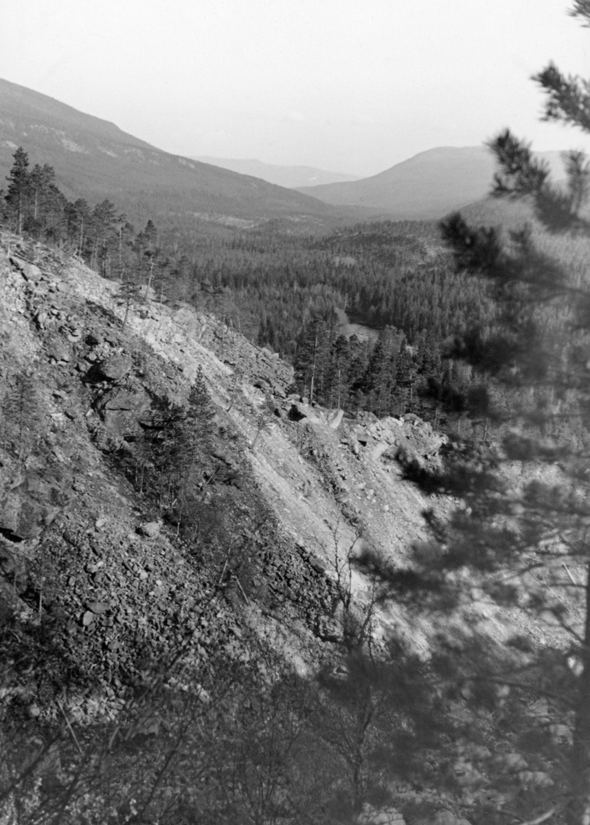 Elveskråning nedenfor Tyslafallet i Øvre Rendalen.  Fotografiet er tatt fra elvedalens vestre bredd mot østre bredd, der vi ser en bratt skråning hvor det har vært utrasninger, slik at morenegrusen ligger bar.  I bakgrunnen utsikt over et barskogkledd dalføre sørover mot Elvål og sentrale deler av Øvre Rendalen. 