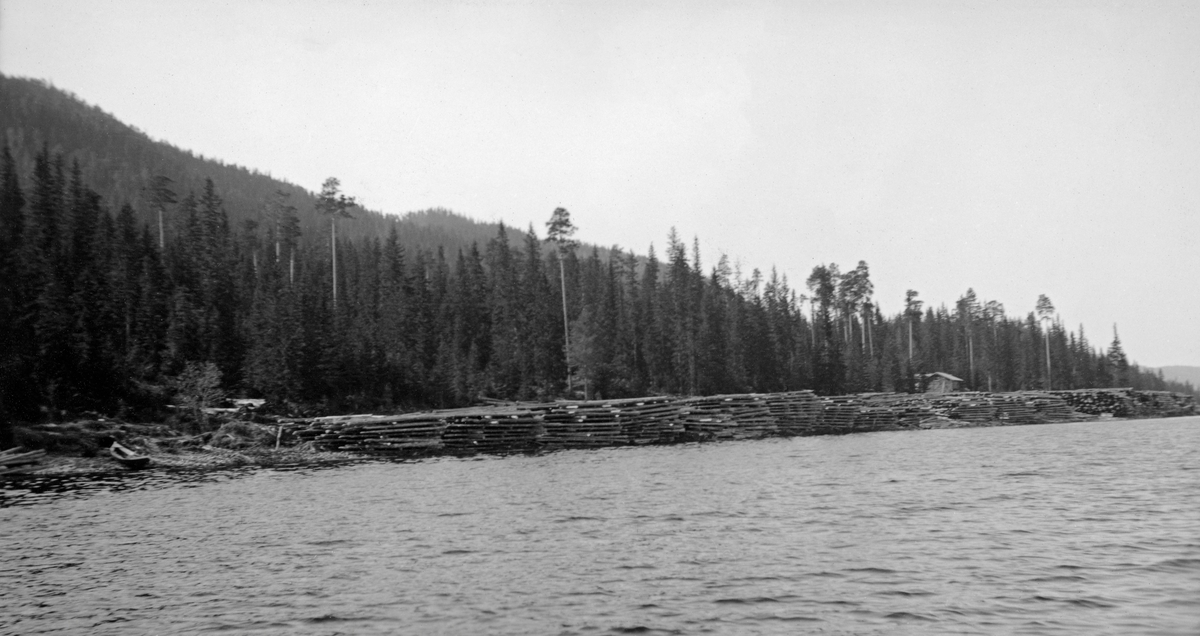 Floret tømmer ved Pitanti sør i Storsjøen i Rendalen våren 1933.  Fotografiet er tatt fra båt mot ei forholdsvis flat strand der det er stablet tømmer ut mot bredden av sjøen.  Tømmeret ligger lagvis med mellomliggende tverrstokker.  Stablene er mange, men forholdsvis lave, noe som antakelig skyldes topografien på velteplassen.  Bakenfor tømmerstablene ses ei koie, og bakenfor den igjen et belte med blandt gran- og furuskog.  Det avbildete tømmeret skal ha tilhørt Halstein Sjøli.