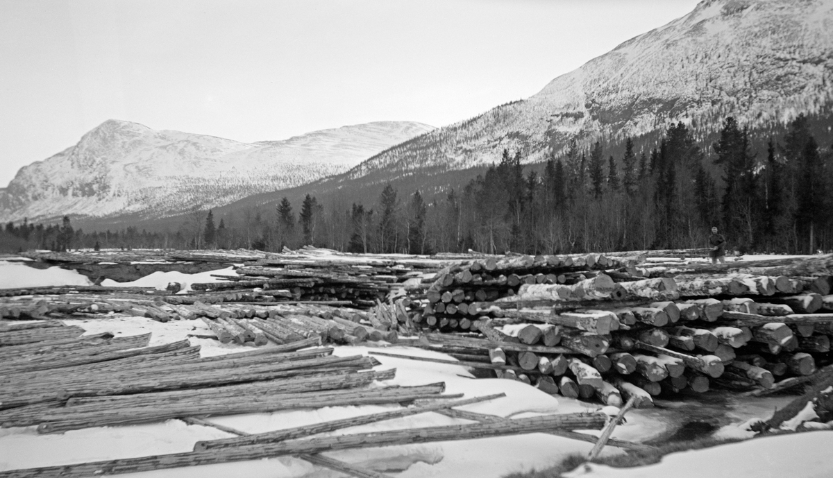 Tillagt fløtingstømmer på og ved elva Tysla i den søndre delen av Tylldalen i Tynset kommune i Nord-Østerdalen.  Fotografiet skal være tatt i 1932.  På den snødekte elveisen, til venstre i forgrunnen, ser vi såkalte flakvelter.  De besto av to-tre botnstokker, som var lagt med en viss innbyrdes avstand, og deretter ei flo – et lag av parallelle tømmerstokker ovenpå.  Denne måten å levere tømmer til fløting på var omdiskutert, for kom det overvatn på isen med påfølgende frost, fraus tømmeret inne i en fuktig masse som gjorde at det var vasstrukkent og tungt når våren kom.   Slik tømmer hadde lett for å synke på sin veg sørover i vassdraget.  Vinterklimaet i Nord-Østerdalen var imidlertid kaldt, følgelig ble det ikke så mye kjøving som i områder med mildere vintrer, og flakvelter på is ble derfor akseptert lenger her enn mange andre steder.  En alternativ tilleggingsmåte var strøvelter på elvebrinkene.  Disse ble lagt som flakveltene, men i flere «etasjer» med veksling mellom spredte strøstokker og tette tømmerfloer, vinkelrett på hverandre.  Fra disse var det bare å rulle stokkene uti, når vassføringa høvde for fløting om våren.  I bakgrunnen på dette fotografiet ser vi høgdedraget som skiller Tylldalen fra Alvdal og Glommadalføret litt lengre vest, med skog nederst i liene og snaufjell ovenfor.