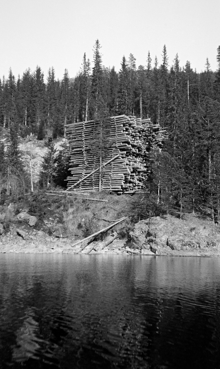 Floret tømmer ved Andråstøa på østsida av Storsjøen i Rendalen våren 1933.  Fotografiet er tatt fra båt mot land, der det er lagt opp tre-fire florete tømmerstabler.  De høyeste har bortimot 30 lag med tømmer som kviler på mellomliggende tverrstokker.  De øverste floene på disse stablene er omtrent i høyde med en bakenforliggende vegtrase.  I bakgrunnen en bakkekam med furutrær.  Helt til venstre i bildet skimtes granskogen i Anda-dalføret, og bakenfor denne den glisne barskogen oppover Andråsberget. 