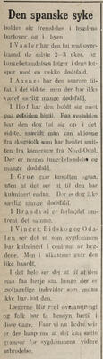Indlandsposten, 11. november 1918
