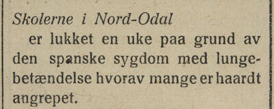 Indlandsposten, 25. oktober 1918