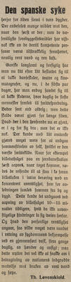 Hedemarkens Amtstidende, 29. oktober 1918