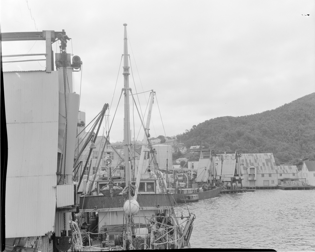 Havnemiljø ved Egersund sildoljefabrikk.