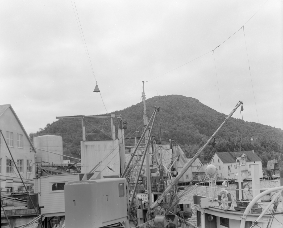 Havnemiljø ved Egersund sildoljefabrikk.