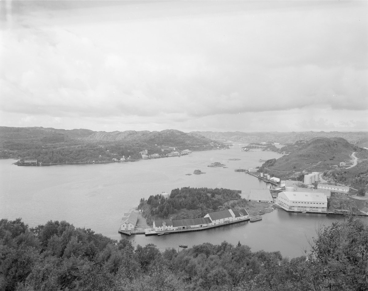 Lindøya sett fra Varberg i Egersund. Det er brygger og sjøhus langs hele den indre delen av Lindøya. Egersund sildoljefabrikk ligger på fastlandssiden.