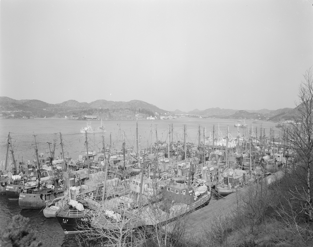 Tett med fiskebåter ved Tyskerbrygga i Egersund.