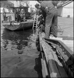 En dykker har tatt opp en granat fra kaien i Egersund. Mange