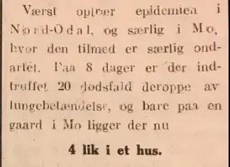 Indlandsposten 31. oktober 1918