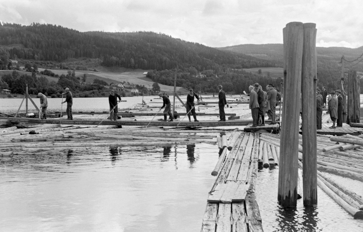 Norsk Fløtingsforbunds befaring til Drammensvassdraget i 1962. Bergsjø hengsle (lense) ovenfor Drammenselvens Papirfabrikker ved Geithusfossen på Modum i Buskerud. Lokalt har Bergsjø hengsle også vært kalt «Delinga», antakelig fordi det var her tømmer som skulle til den lokale treforedlingsindustrien ble skilt fra virke som skulle til sagbruk og treforedlingsbedrifter lengre nede i vassdraget.


Den 4. juli 1962 – det året dette fotografiet ble tatt – rapporterte Drammens Tidende og Buskeruds Blad at «Tømmersorteringen i Bergsjø hengsle kom igang 25. juni, og det er sortert ca. 4 500 tlt., hvorav ca. halvparten er inntakslast. Beholdningen i Bergsjøhengslet er ca. 16 000 tlt. Arbeidet på Stenberg hengsle begynner mandag den 9. juli.» Den 2. august informerte avisa om at «Ved Bergsjø hengsle er sortert ca. 23 000 tylfter, hvorav inntakslast ca. 13 000 tylfter. Den udelte beholdning på hengslet er ca. 35 000. Det er ferie på Bergsjø fra 23. juli til 2. august.» Den 4. september fulgte avisa opp med at «Arbeidet på Bergsjø hengsle har gått bra. Her er delt ca. 62 500 tlt., hvorav inntakslast ca. 32 000 tlt. Av udelt tømmer på hengslet er det ca. 35 000 tlt. På Kverkhengslet ligger det 30 000-35 000 tlt. i beholdning.» Den 20. november kunne Drammens Tidende og Buskeruds Blad melde at driftssesongen var over: «På Bergsjø hengsle var sorteringsarbeidet ferdig den 31. oktober. I alt er det sortert ca. 111 000 tlt. Her er ca. 38 000 tlt. inntakslast og ca. 73 000 tlt. utgangslast.» Oppsynsmann Øyvind Kjemperud (1908-1980) fra Geithus var helårsansatt med ettersyn av opplag og innretninger ved lenseanlegget som vinteroppgaver.