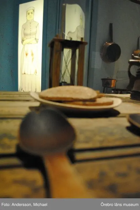 Bernadotteutställningen 2010 ”Folkets väl folkets val?”