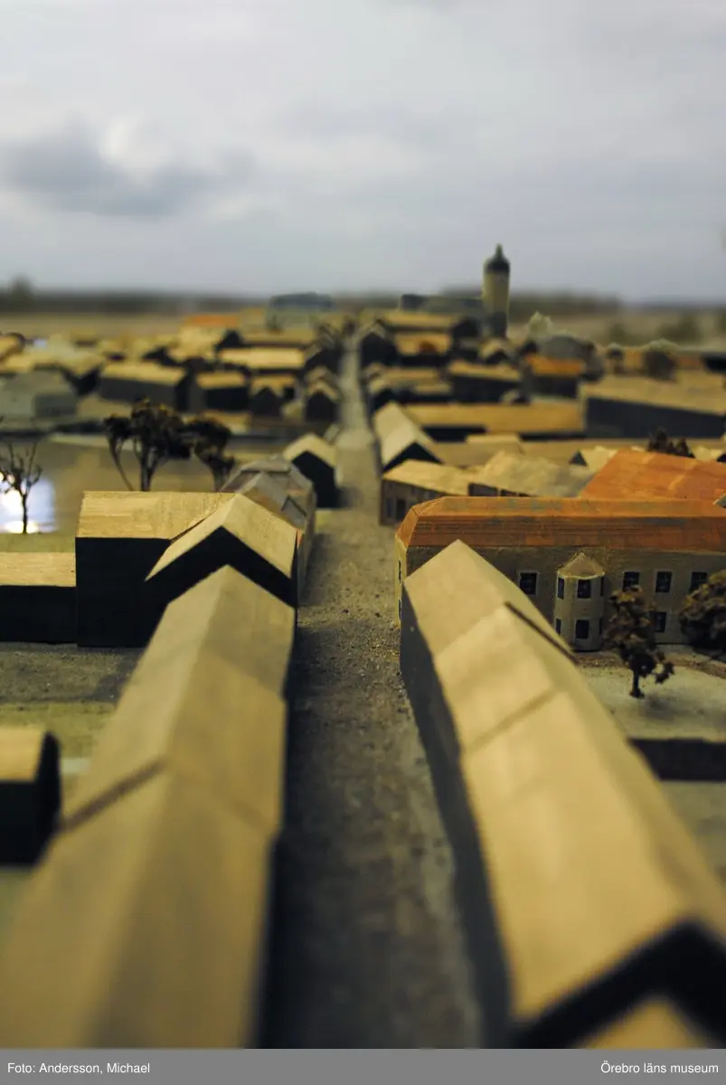 Bernadotteutställningen 2010 ”Folkets väl folkets val?”