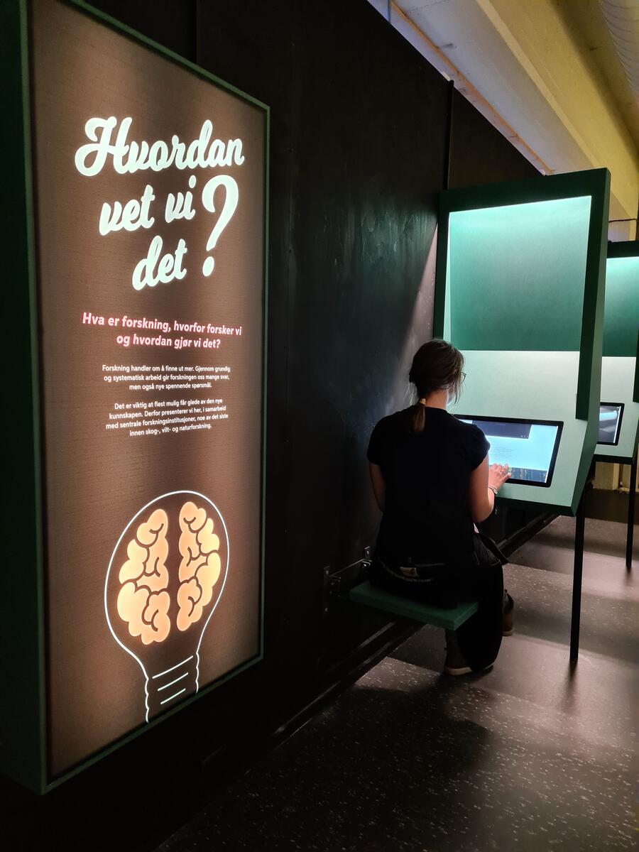 Jente som sitter foran en skjerm ved utstillingen "forskningsveggen"