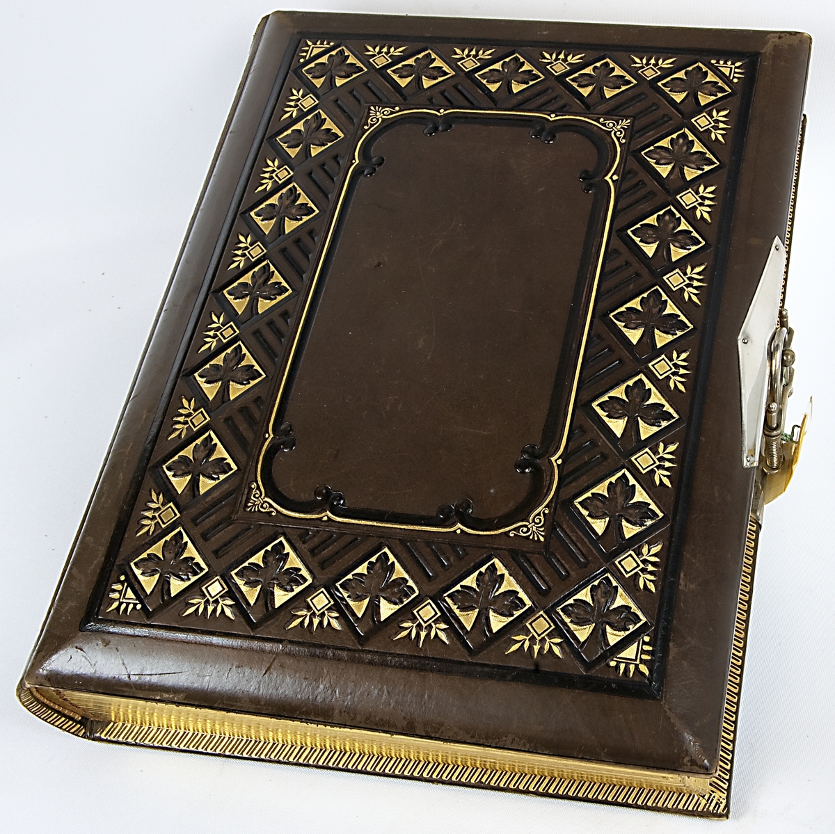 Fotoalbum, brunt skinn. Dekor; spegel inramad av reliefartad bård i rutsystem med blad bemålad med guld och mörk färg. På baksidan smal bård och spegeln fylld med slingrande ornamentik. I hörnen nubbar.