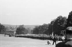 soldater, opptog, defilering ved Slottet